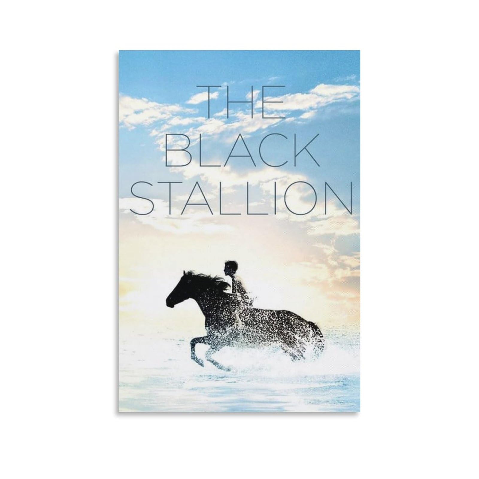 Amazon.com: GUSMYPLG The Black Stallion Movie Poster.2 Canvas